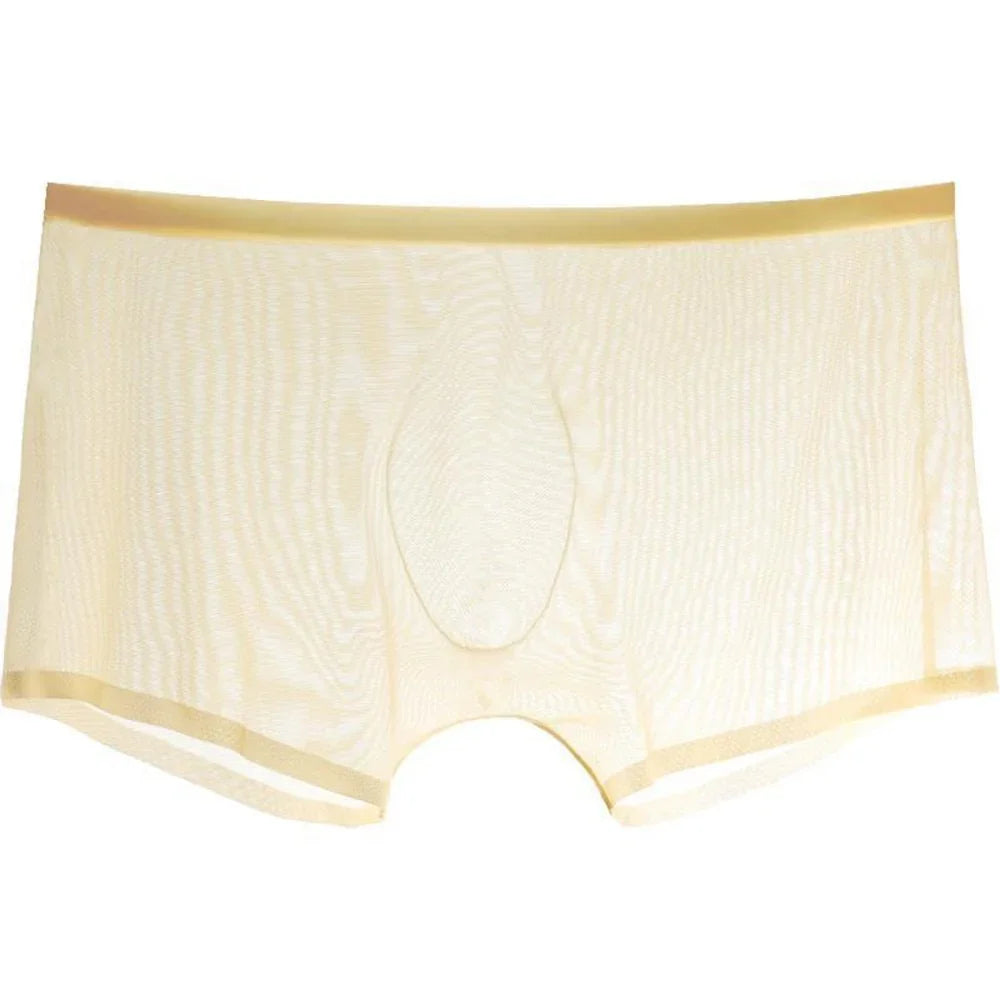 Men's Underwear Transparent Boxers Bulge Ice Silk See Through Underpants Sexy Briefs Low Waist Panties Lingerie Intimates - NawdeX